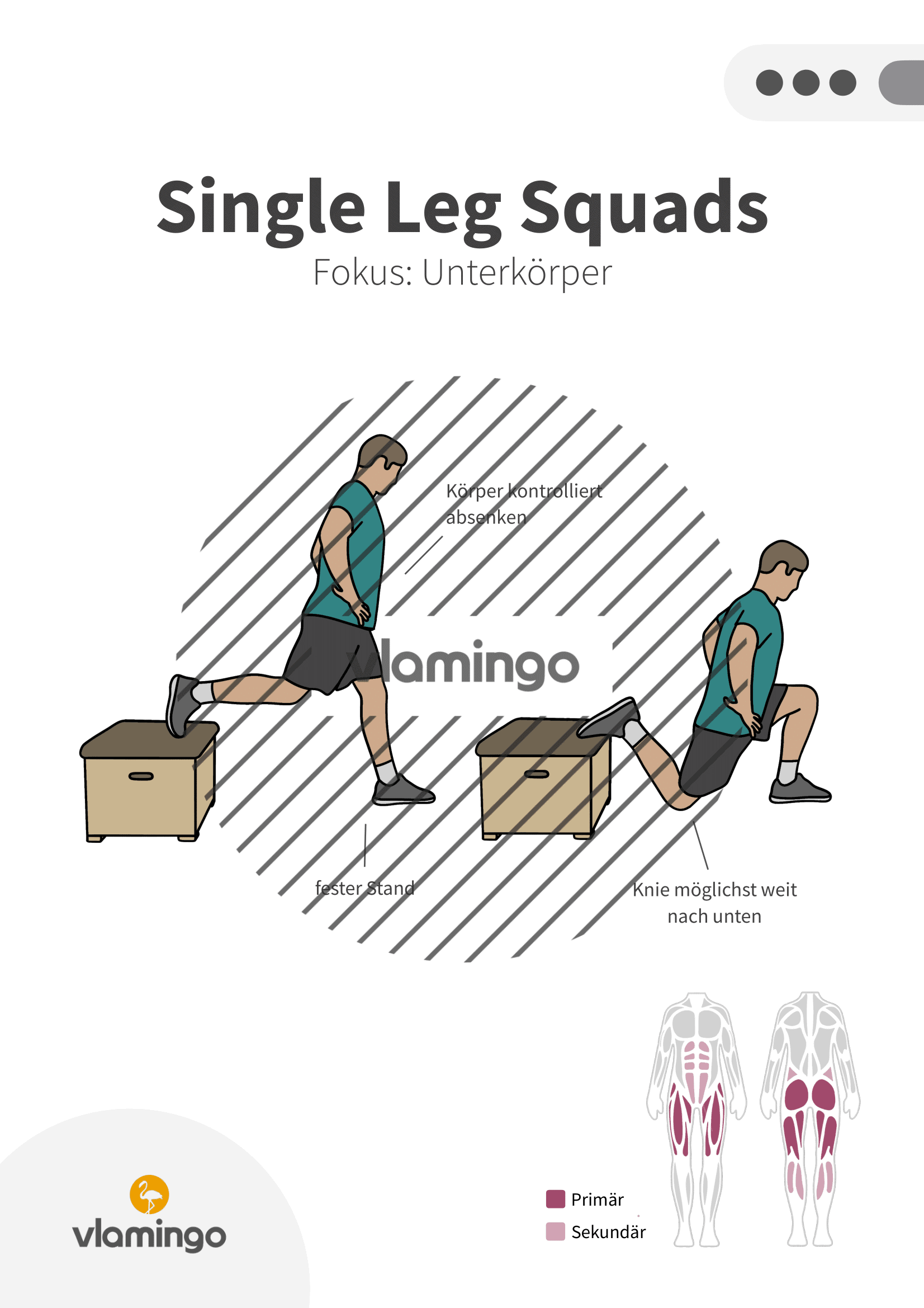 Übung - Single Leg Squats - Fitness mit Kasten, Stuhl & Bank