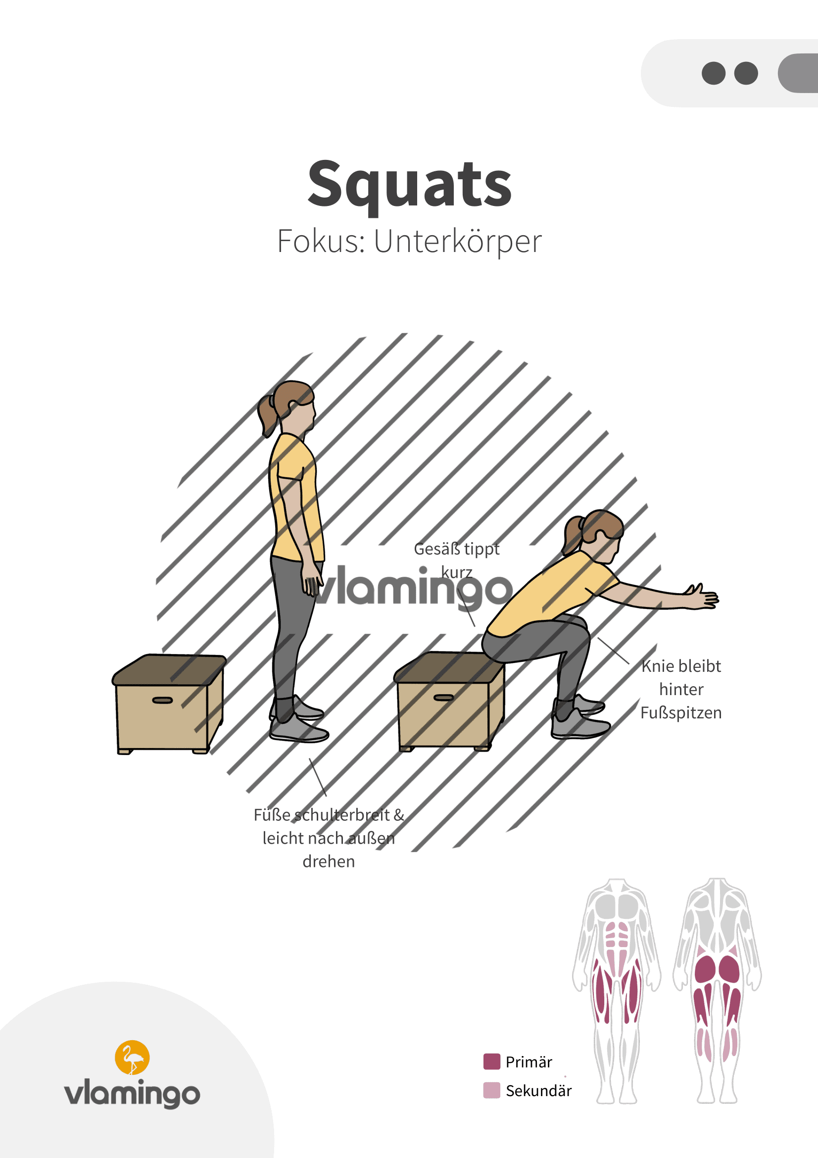 Übung - Squats - Fitness mit Kasten, Stuhl & Bank