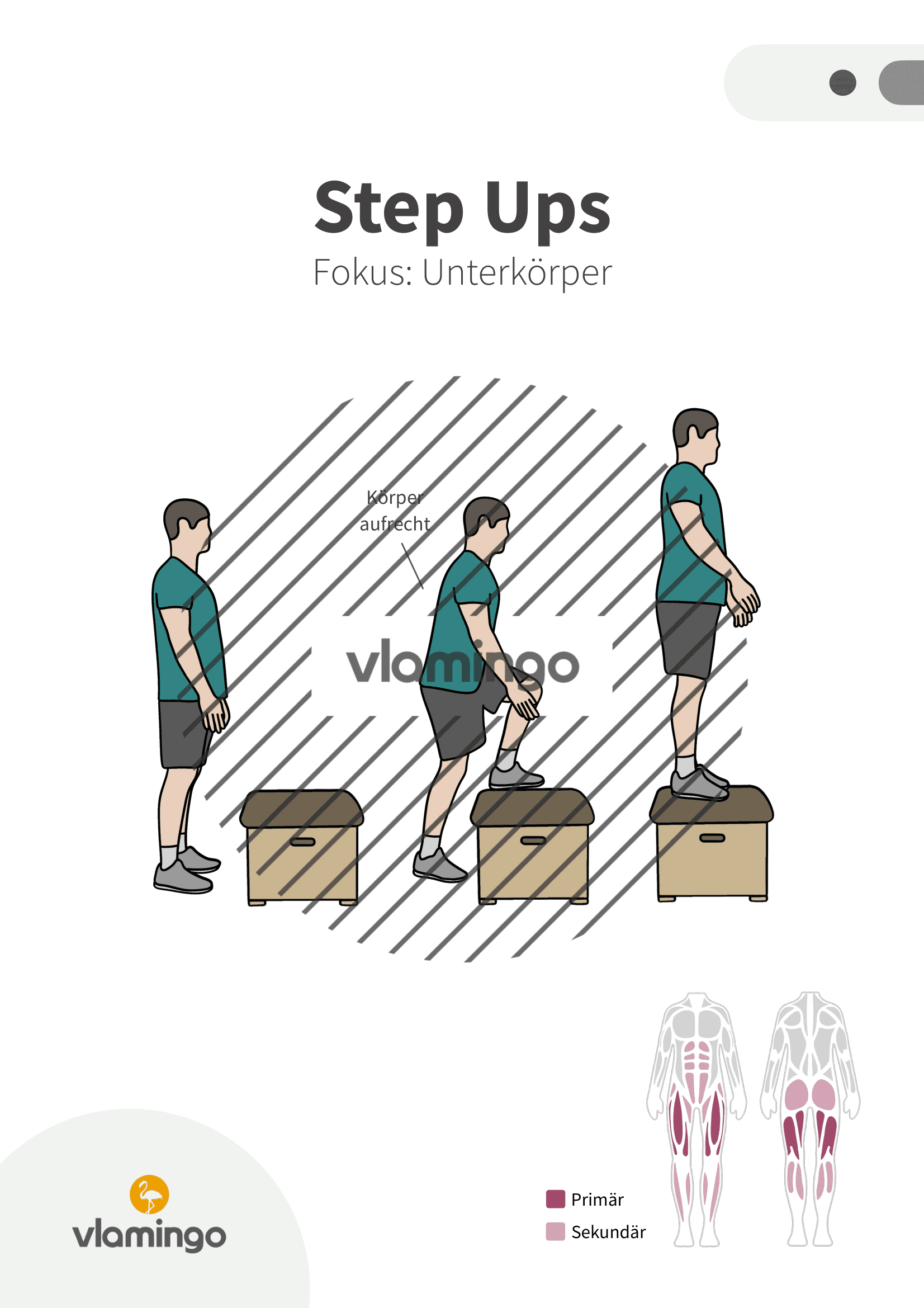 Übung - Step Ups - Fitness mit Kasten, Stuhl & Bank Übung - Step Ups - Fitness mit Kasten, Stuhl & Bank