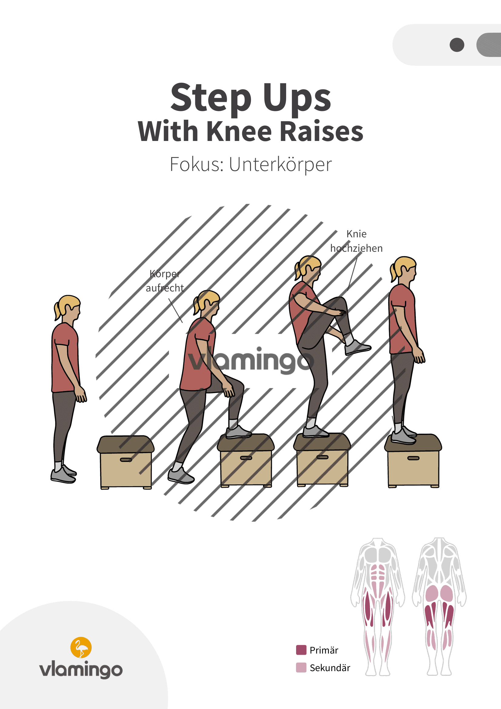 Übung - Step Ups with Nee Raises - Fitness mit Kasten, Stuhl & Bank Übung - Step Ups with Nee Raises - Fitness mit Kasten, Stuhl & Bank