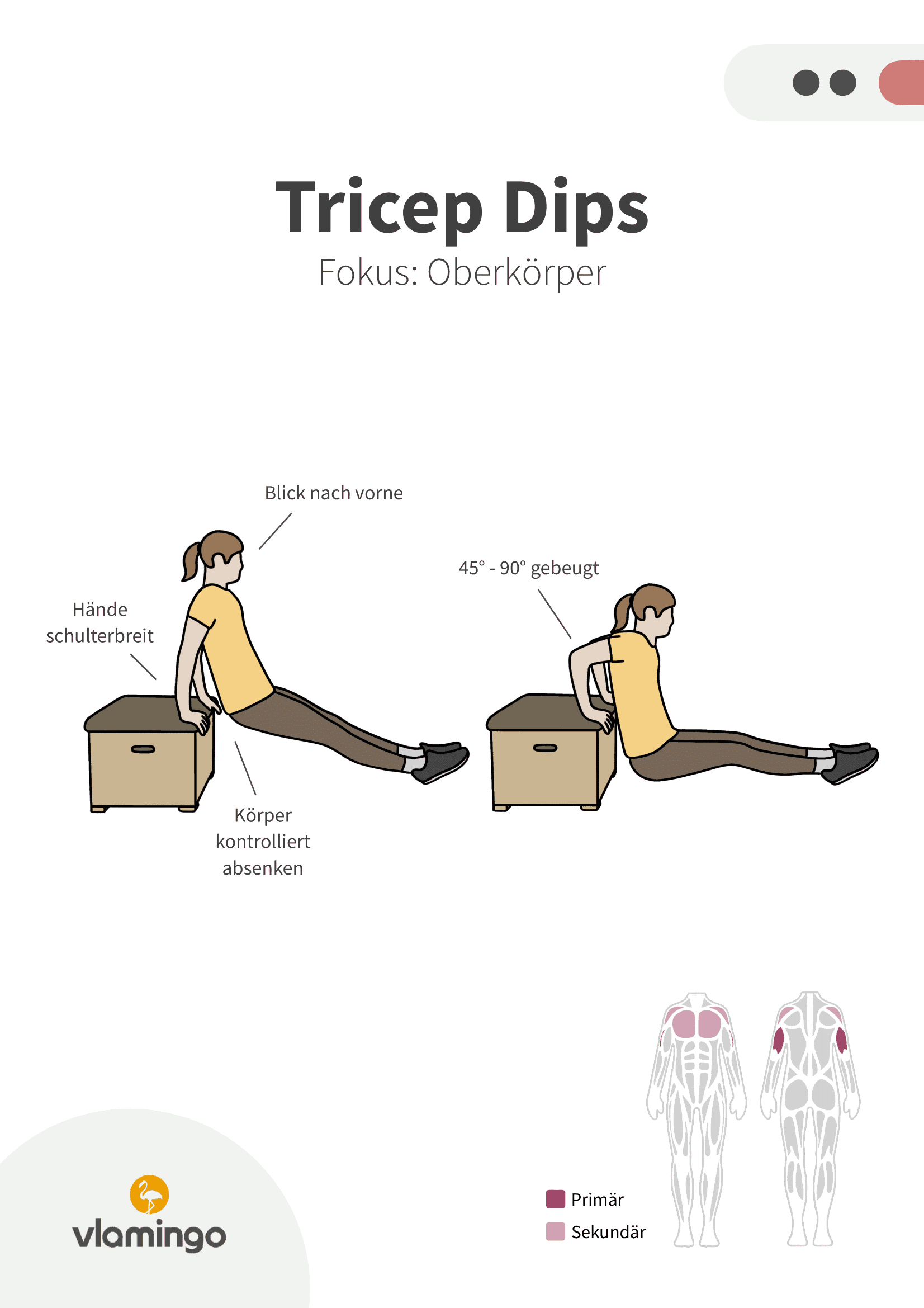 Übung - Tricep Dips 2 - Fitness mit Kasten, Stuhl & Bank