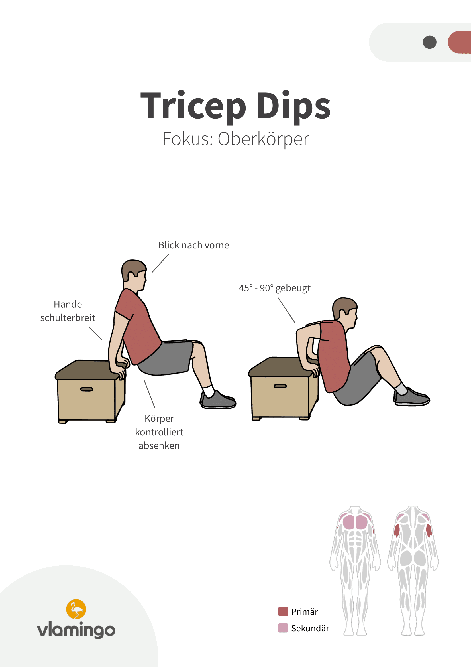 Übung - Tricep Dips - Fitness mit Kasten, Stuhl & Bank