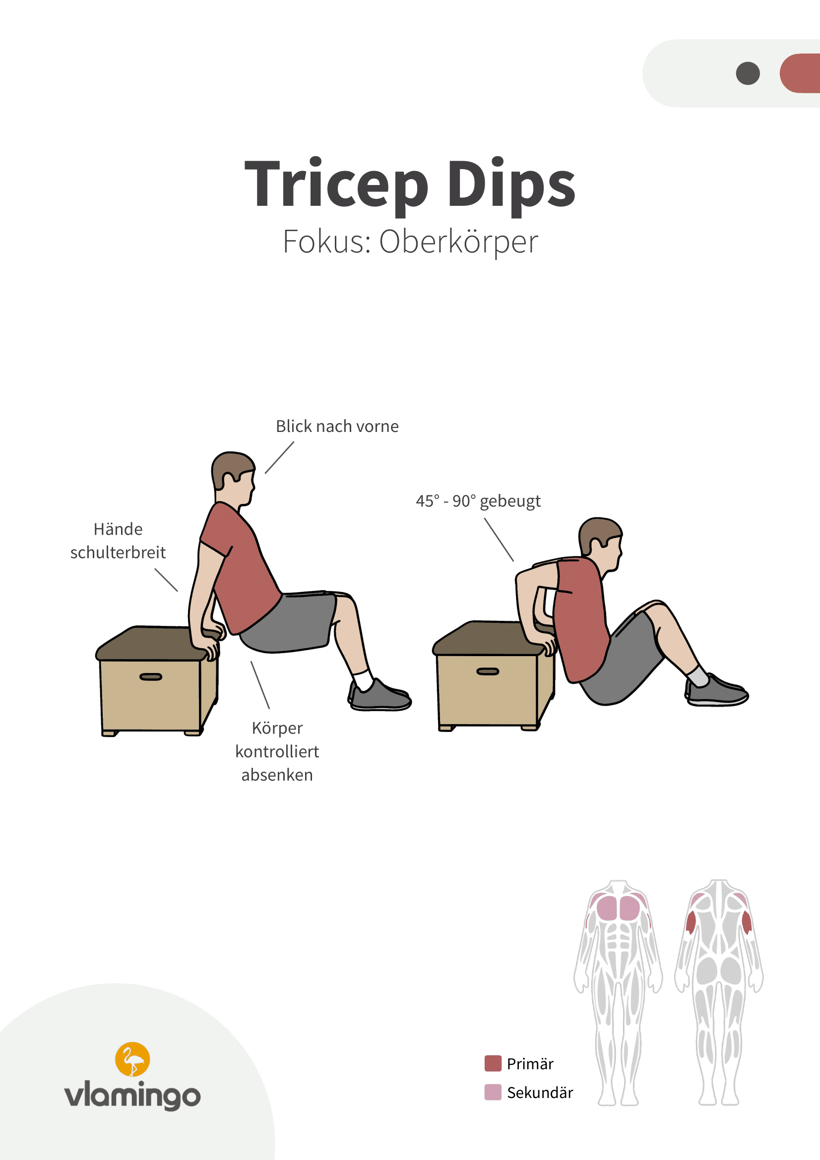Übung - Tricep Dips - Fitness mit Kasten, Stuhl & Bank Übung - Tricep Dips - Fitness mit Kasten, Stuhl & Bank