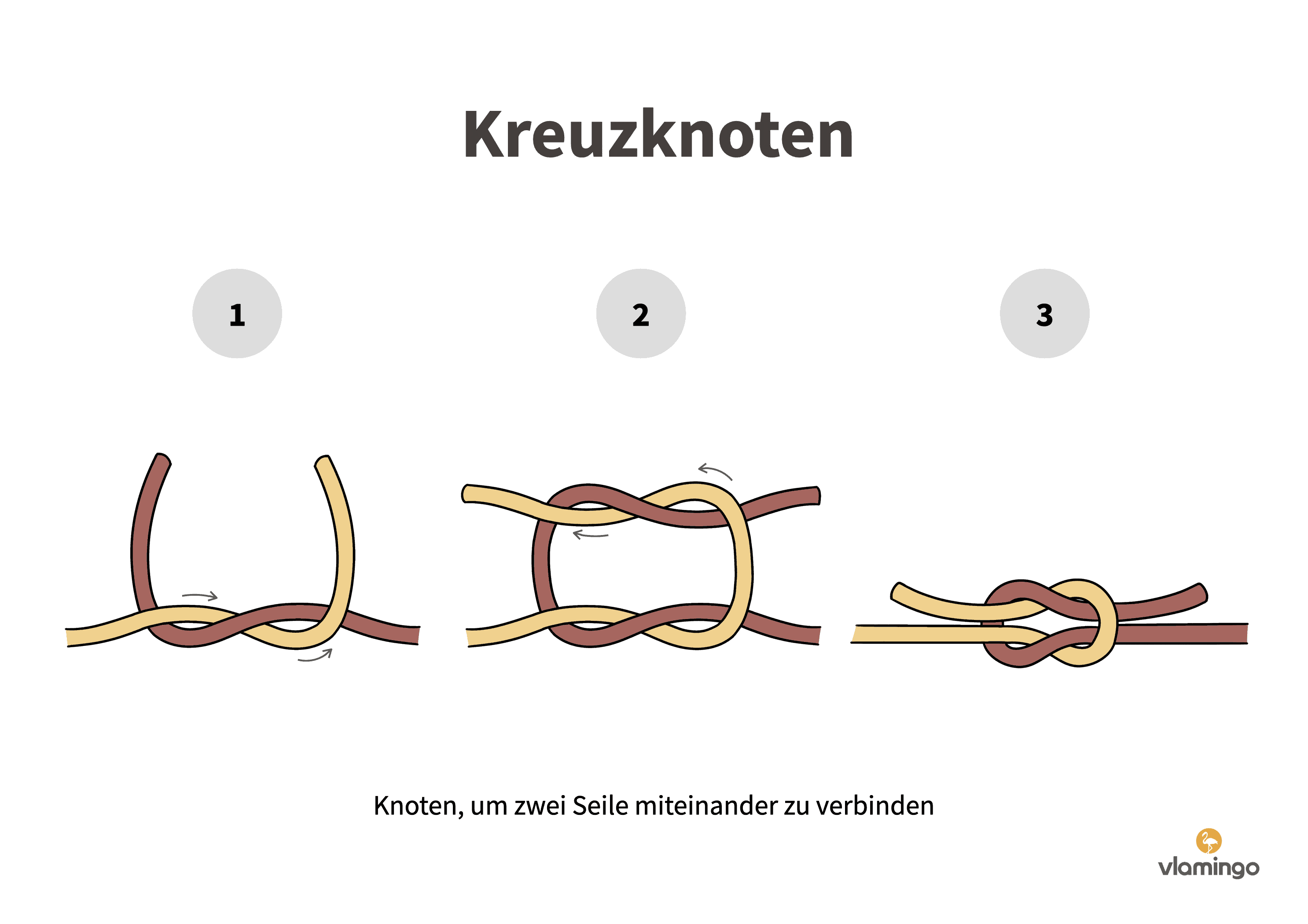 Kreuzknoten Kreuzknoten