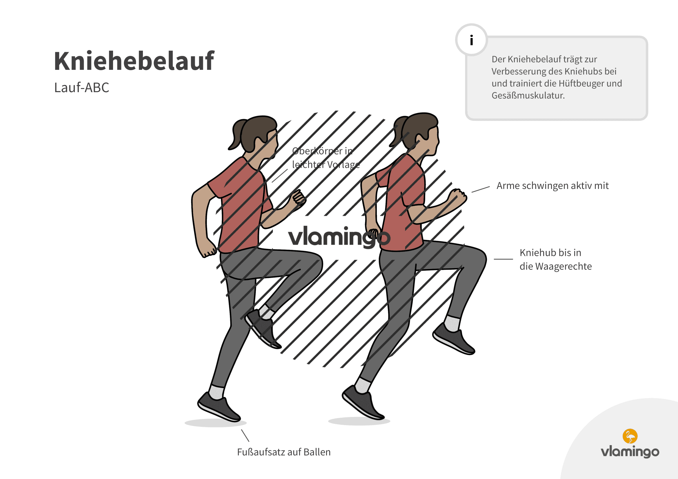 Kniehebelauf - Lauf-ABC Kniehebelauf - Lauf-ABC