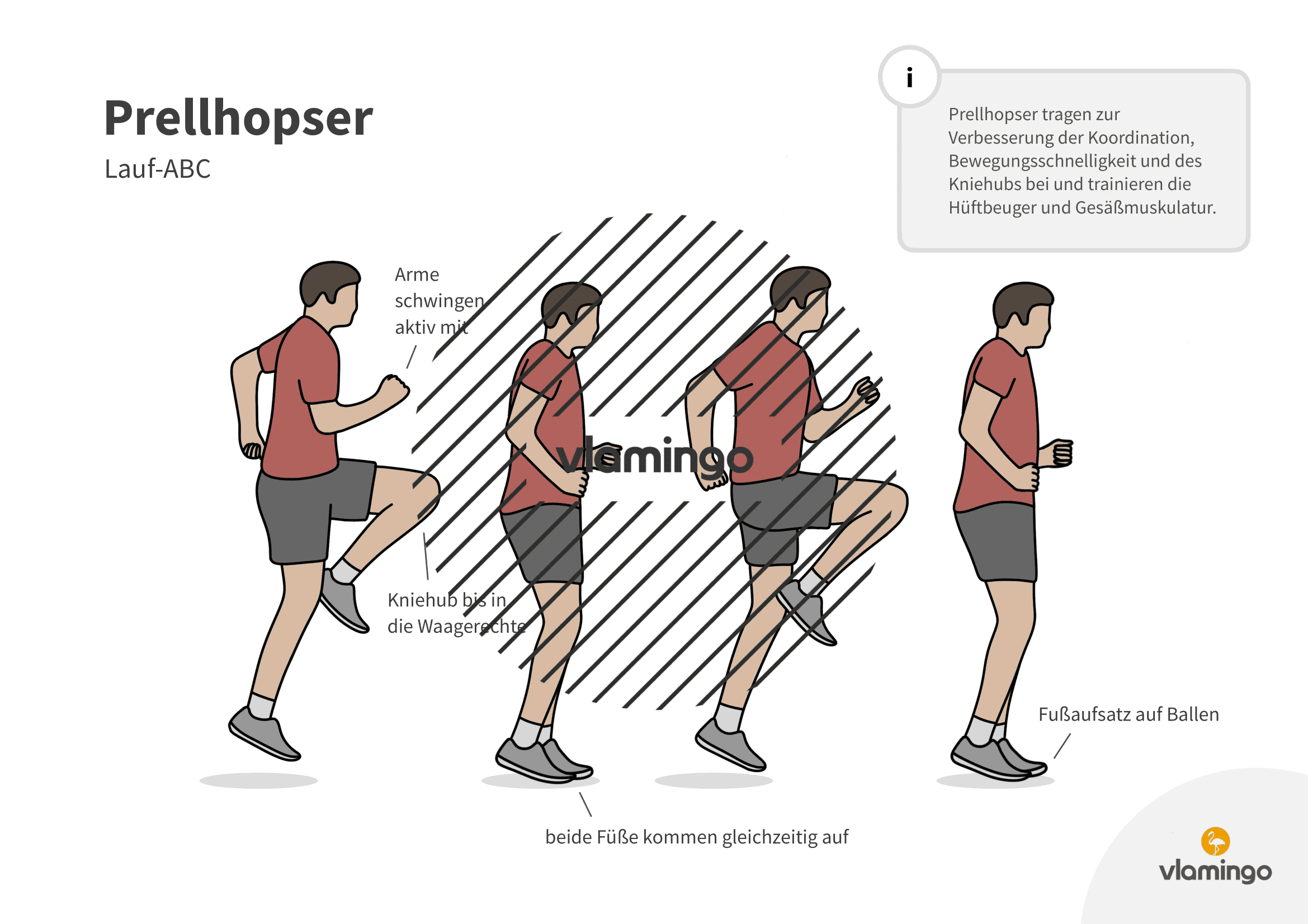 Prellhopser - Lauf-ABC