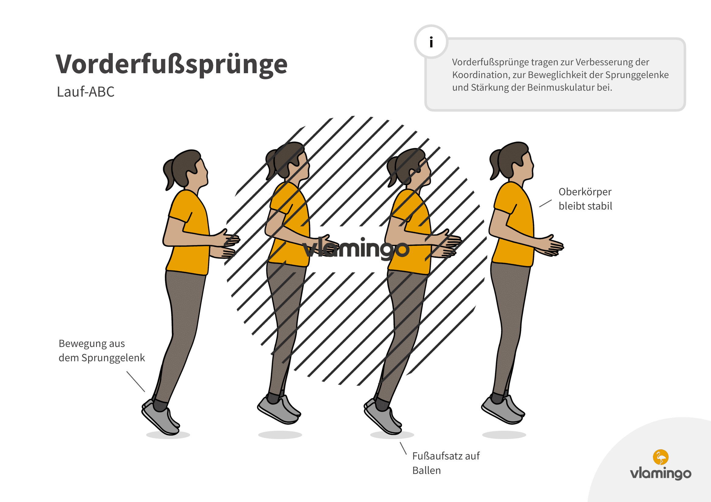 Vorderfußsprünge- Lauf-ABC