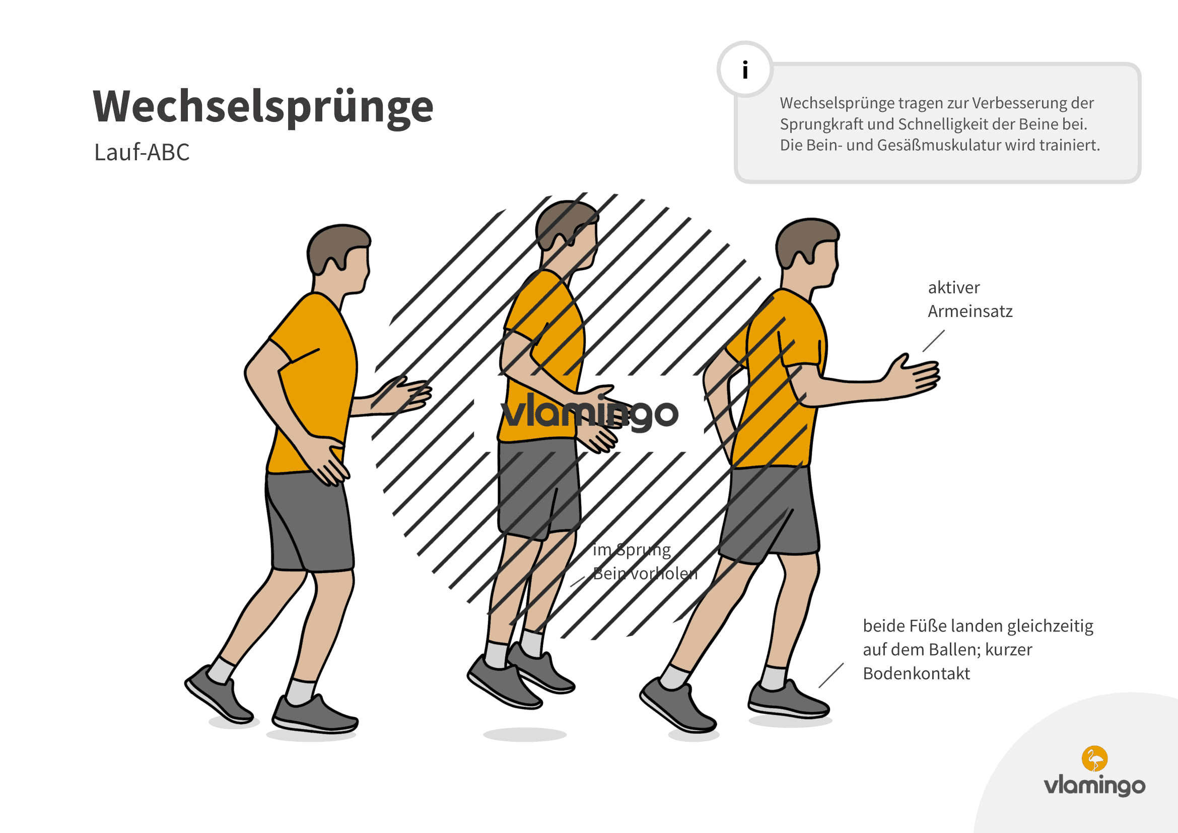 Wechselsprünge - Lauf-ABC