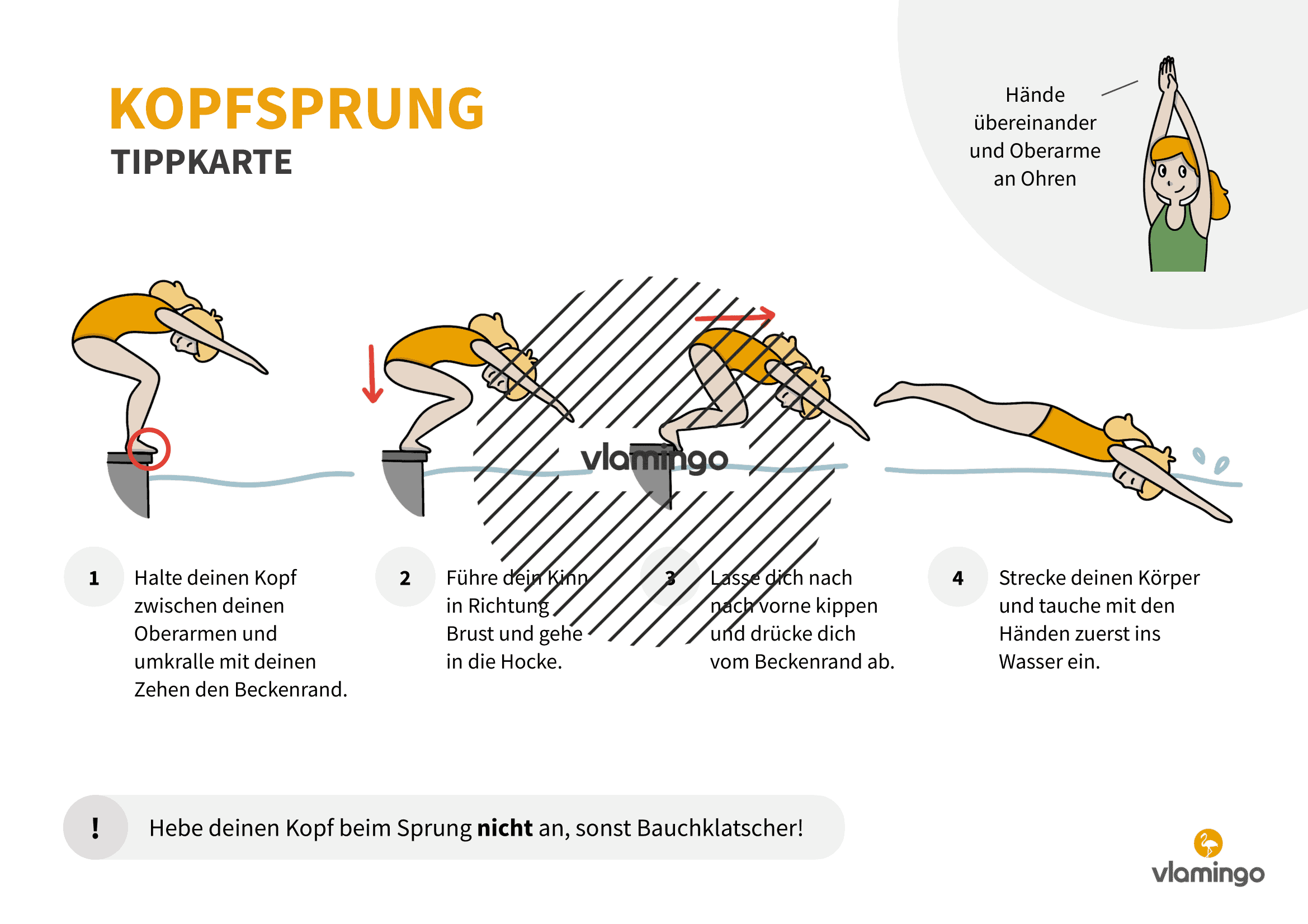 Tippkarte - Kopfsprung 2 - Wasserspringen - Sprünge ins Wasser