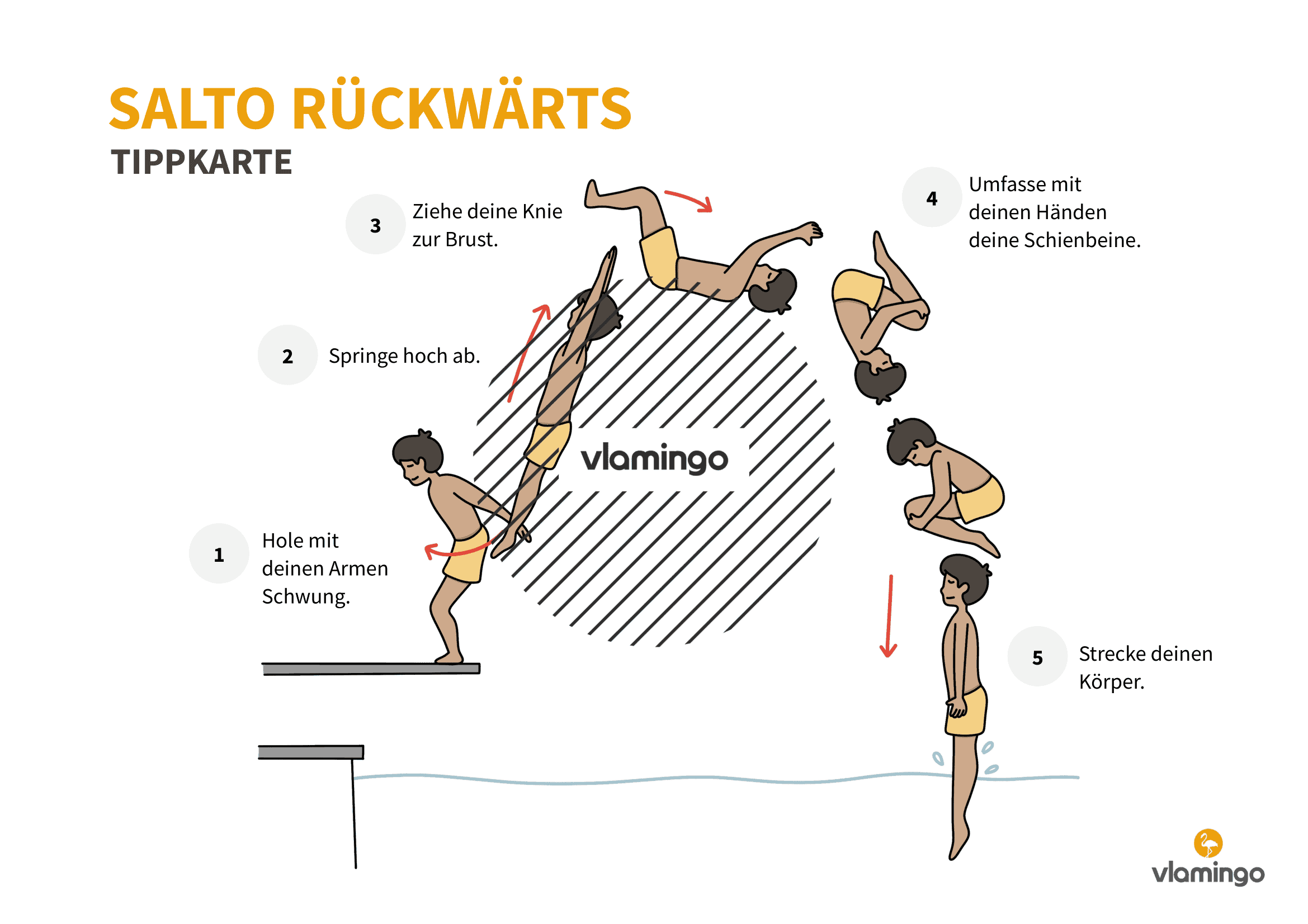 Tippkarte - Rückwärtssalto - Wasserspringen - Sprünge ins Wasser