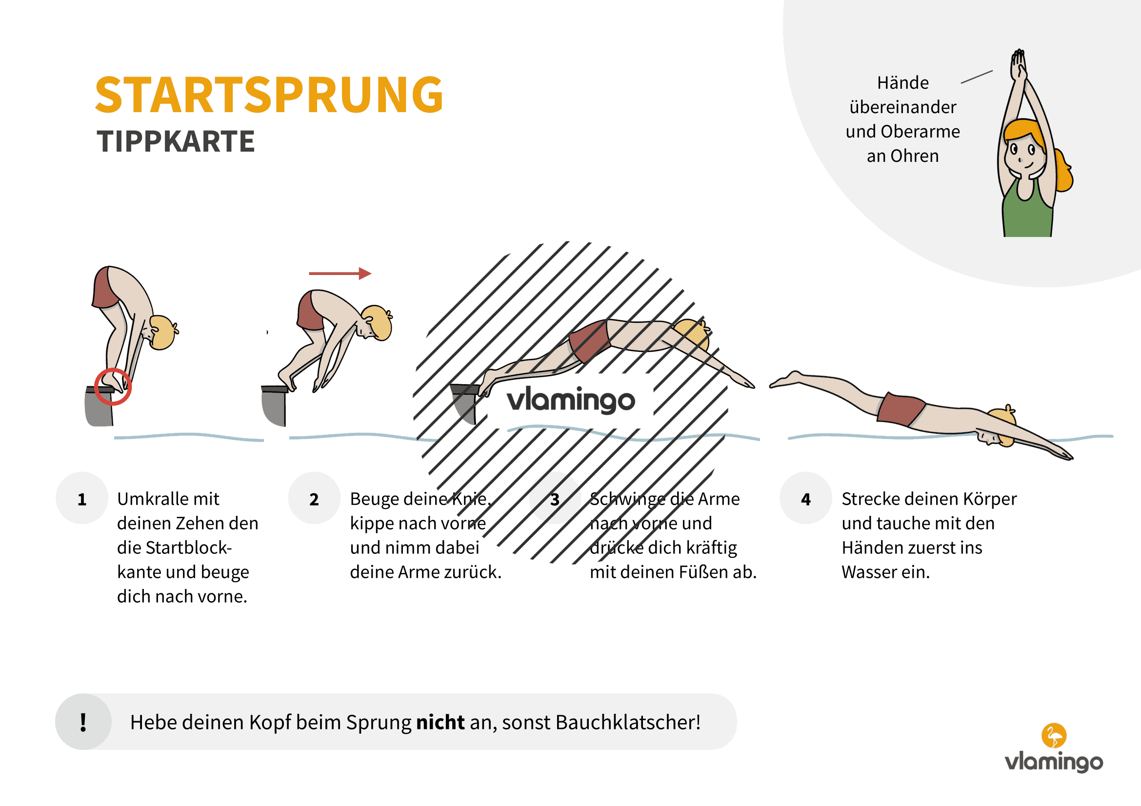 Tippkarte - Startsprung - Wasserspringen - Sprünge ins Wasser