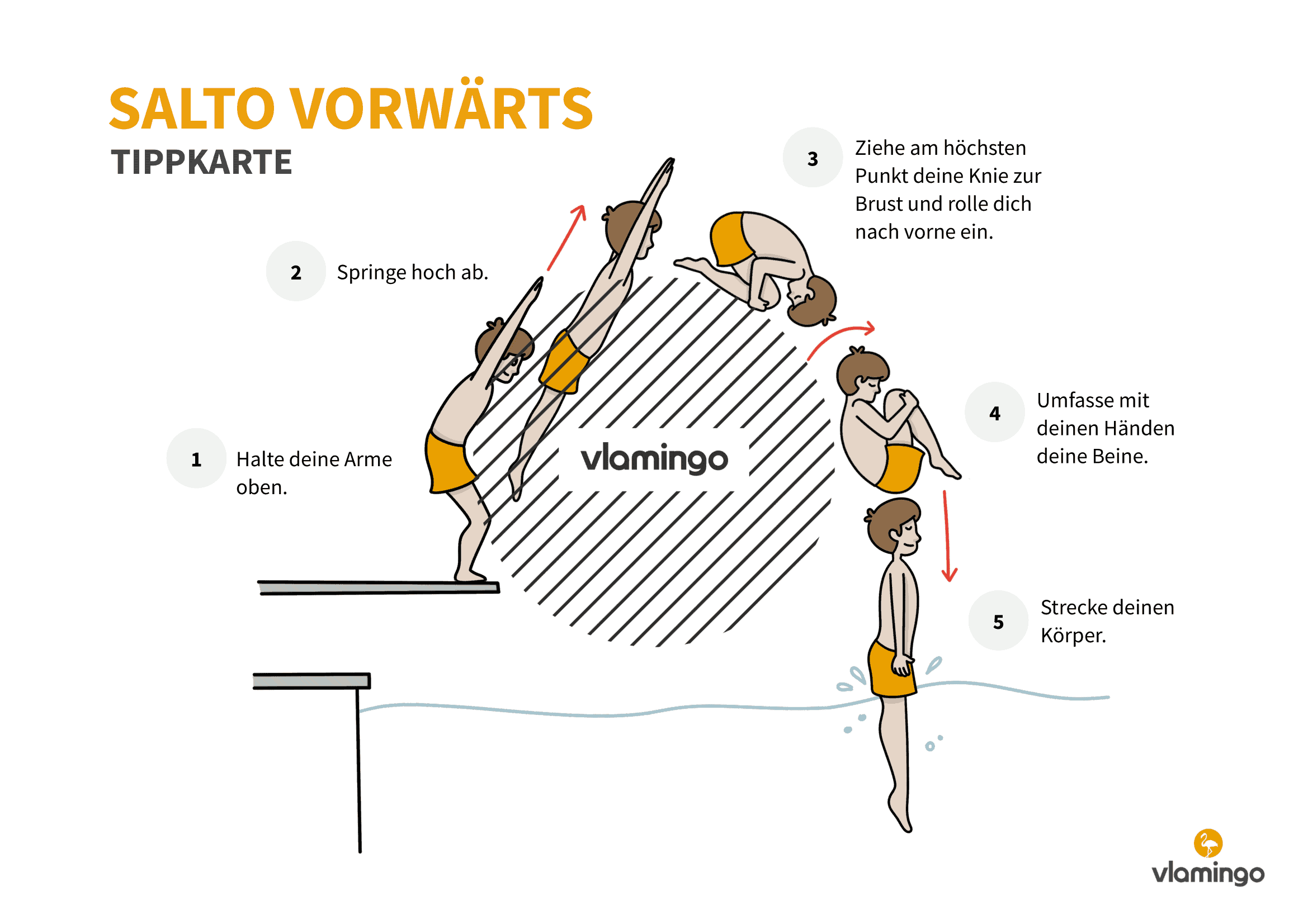 Tippkarte - Vorwärtssalto - Wasserspringen - Sprünge ins Wasser