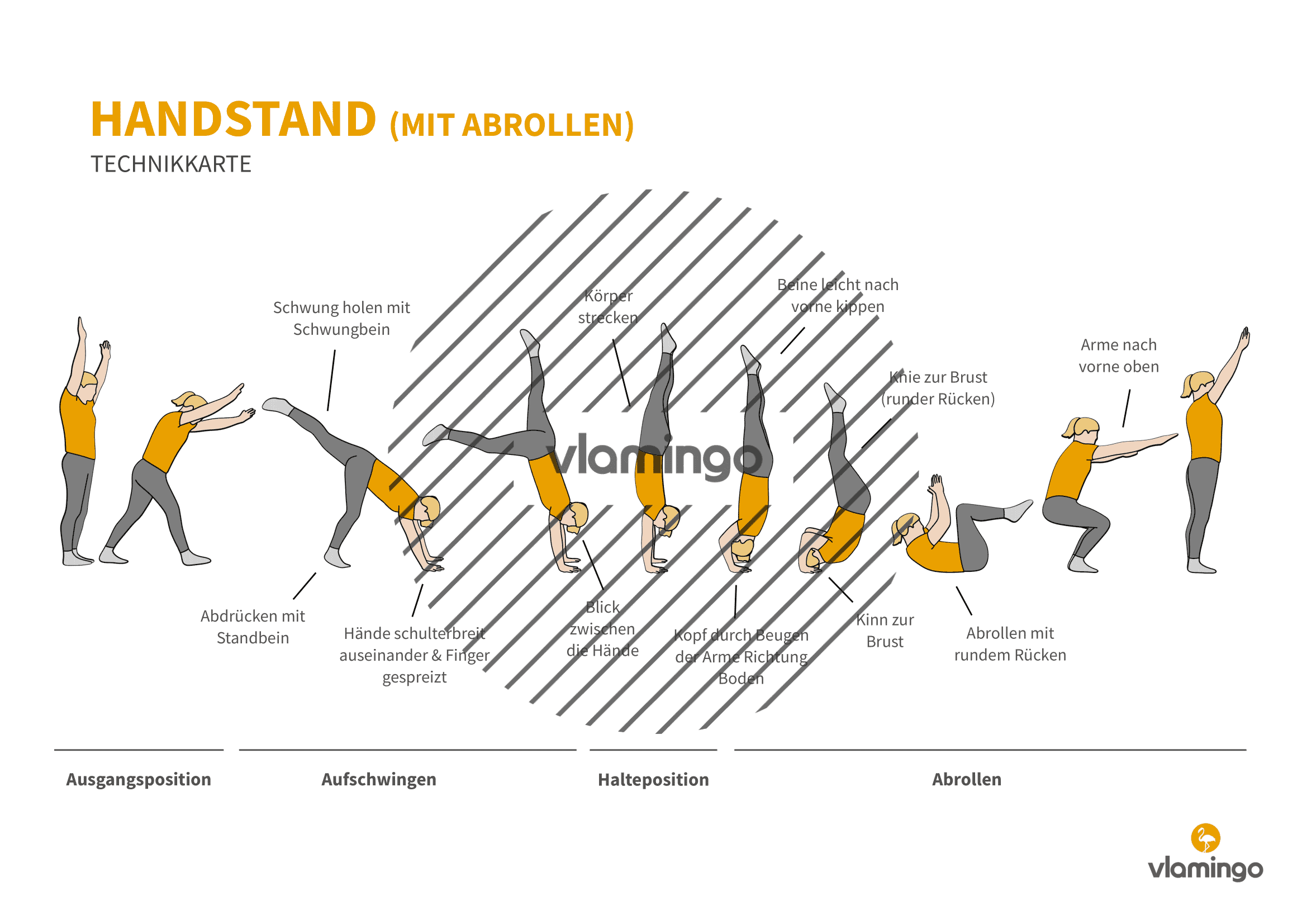 Handstand mit Abrollen - Technikkarte - Bewegungsanalyse