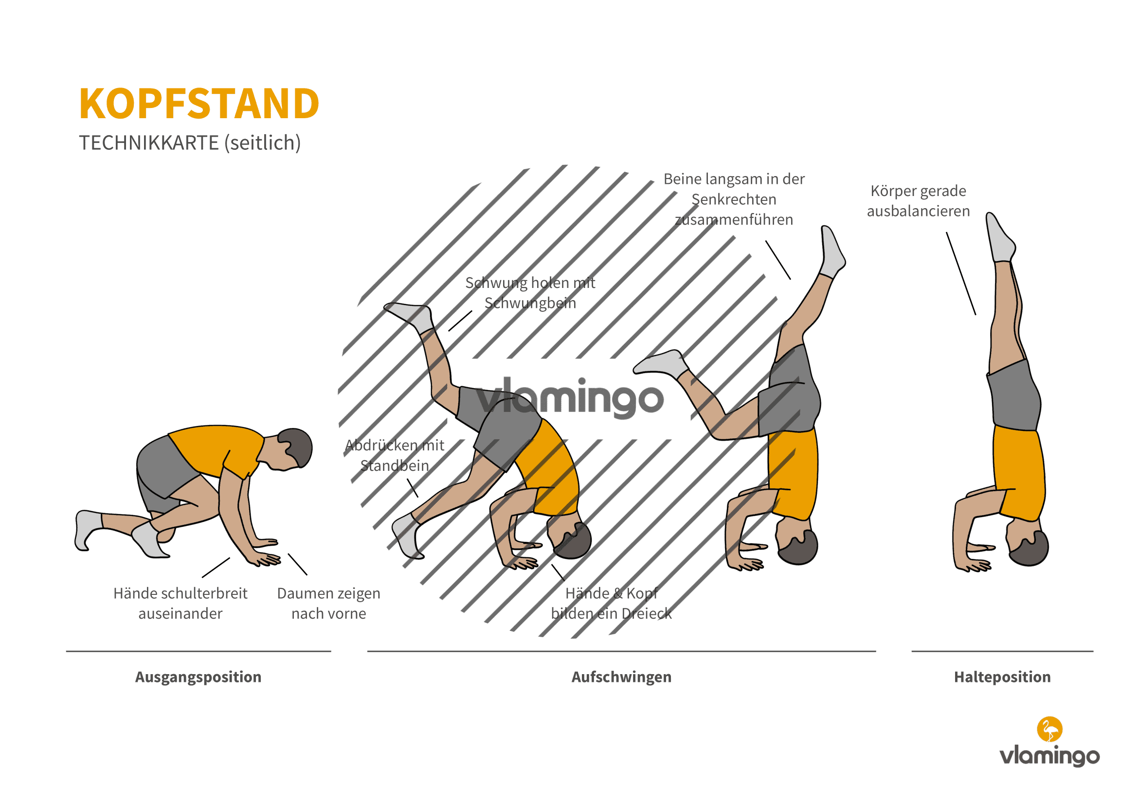 Kopfstand - Technikkarte 1 - Bewegungsanalyse