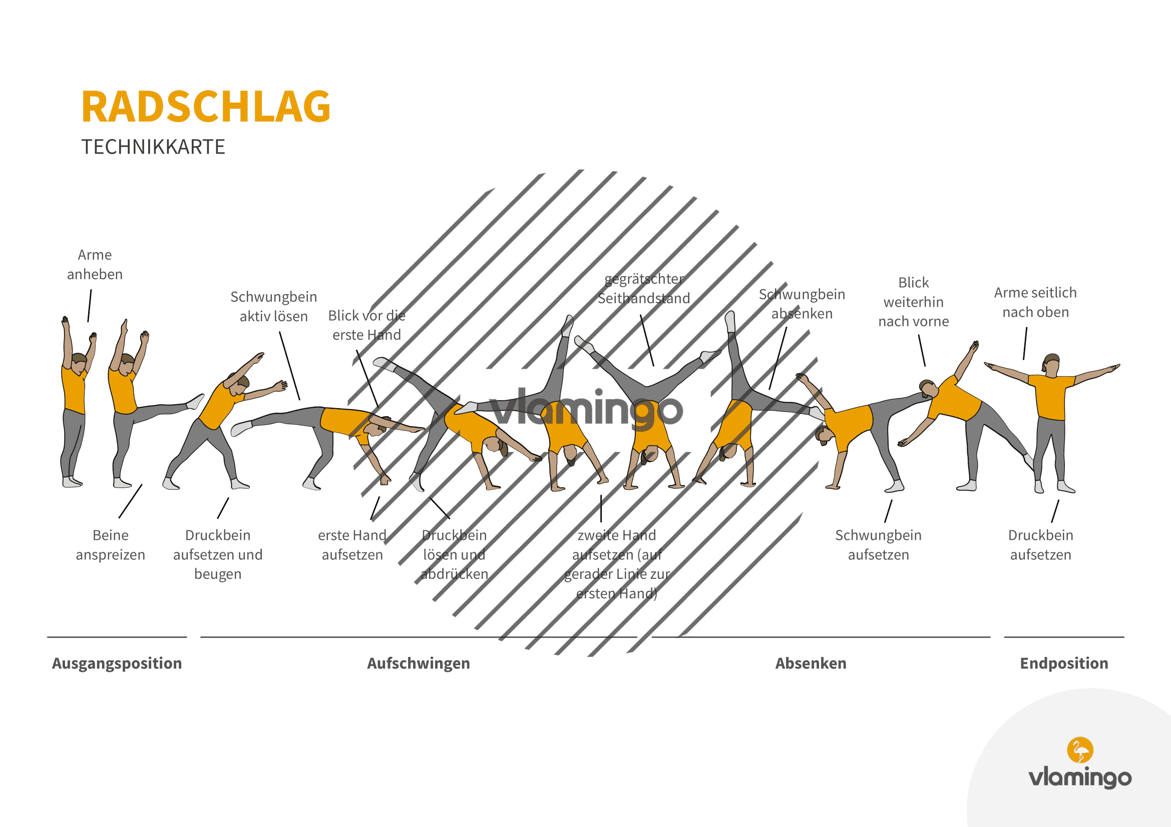 Radschlag - Technikkarte - Bewegungsanalyse