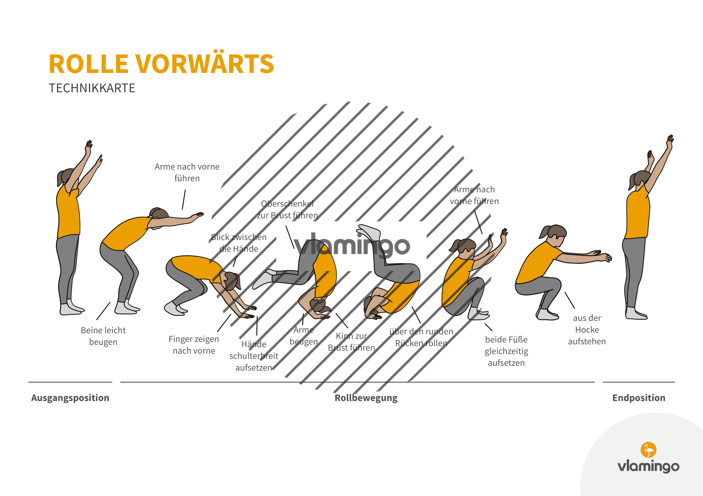 Rolle vorwärts - Technik für Anfänger