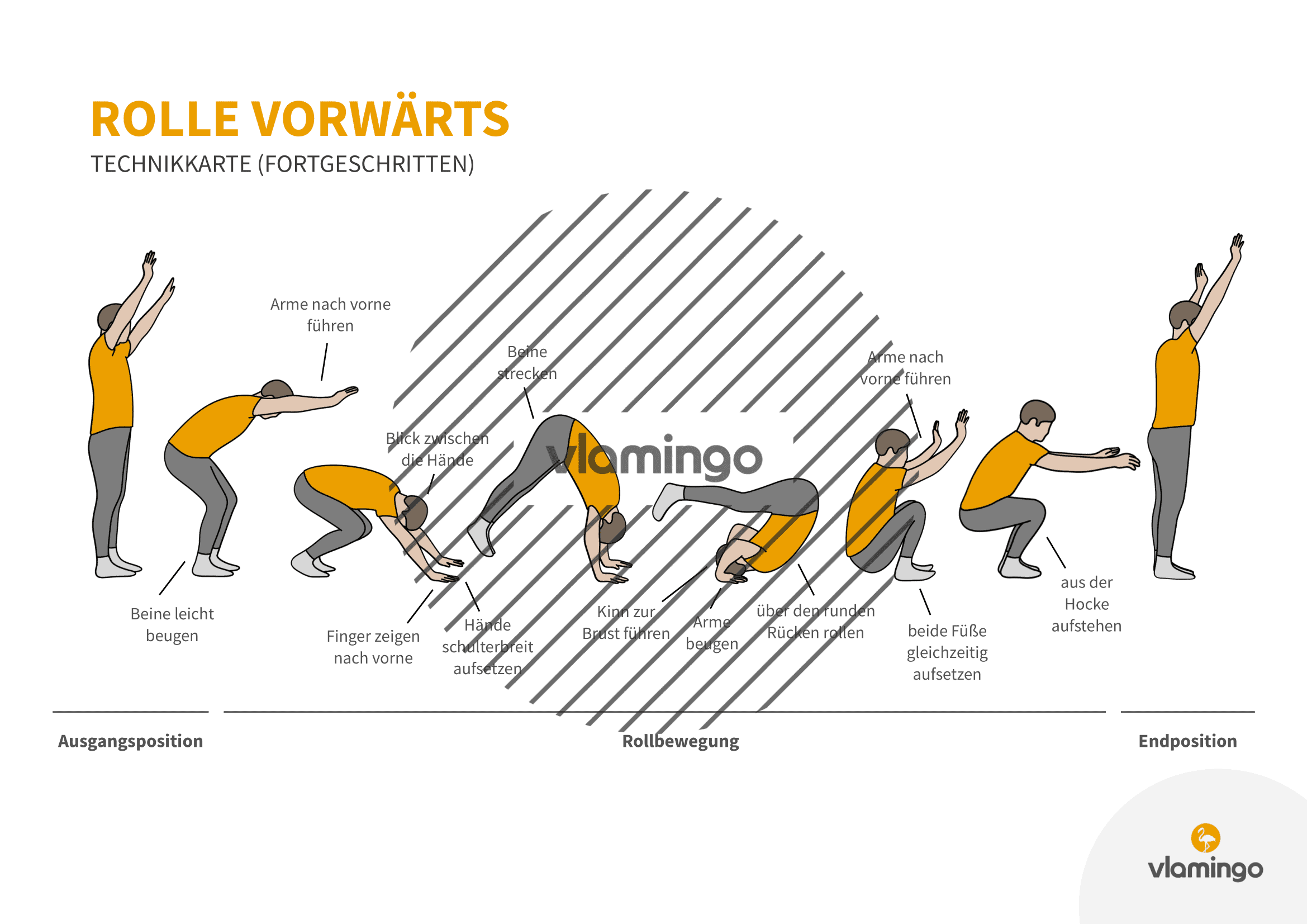 Rolle vorwärts - Technik für Fortgeschrittene